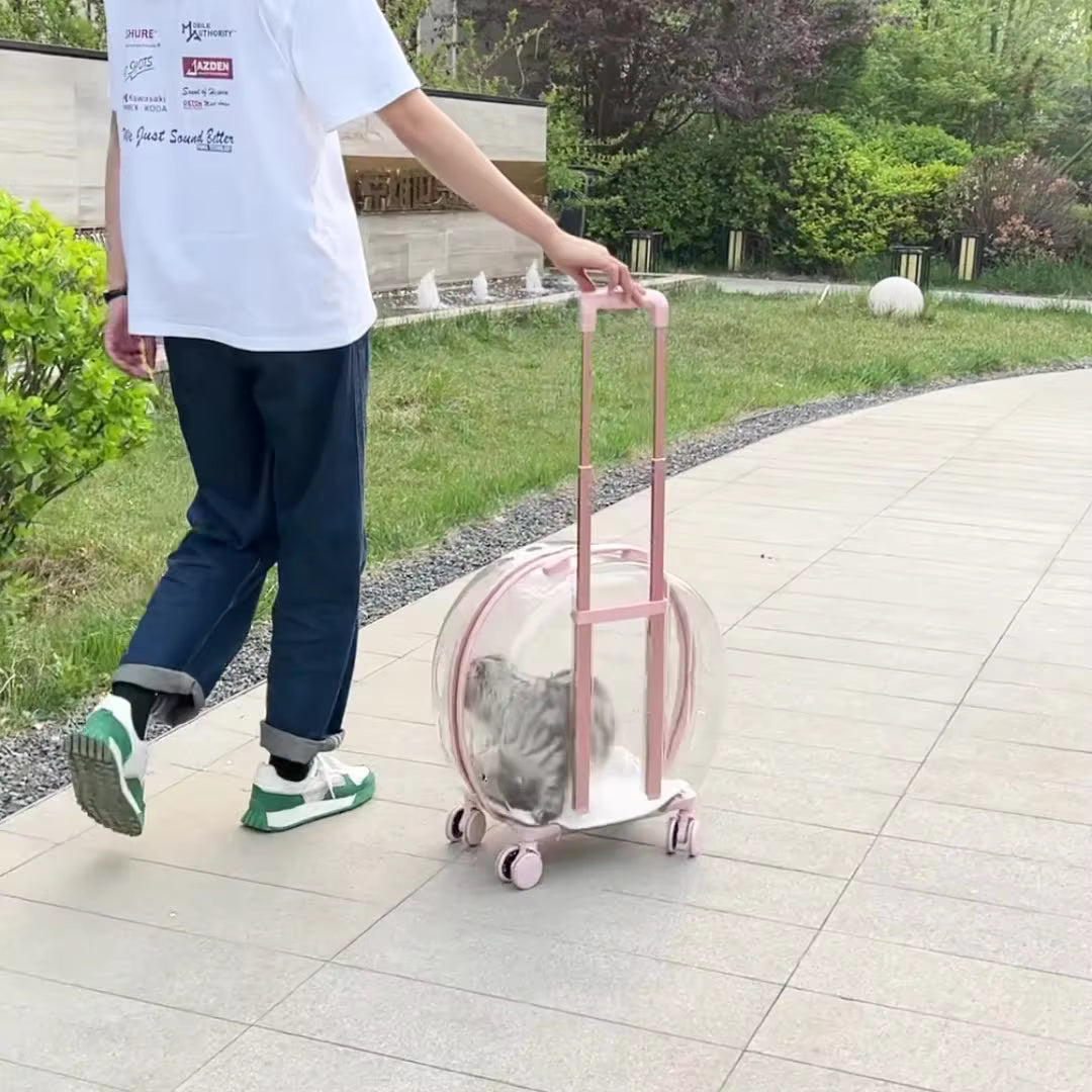 Pet travel trailer