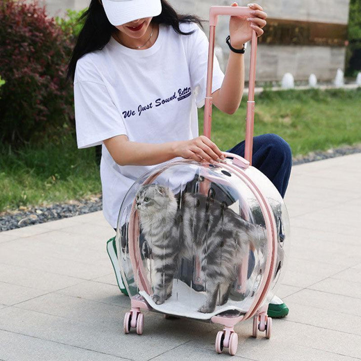 Pet travel trailer